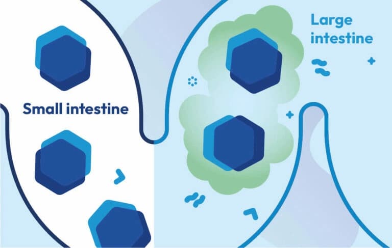 ¿Qué es la intolerancia a la lactosa?